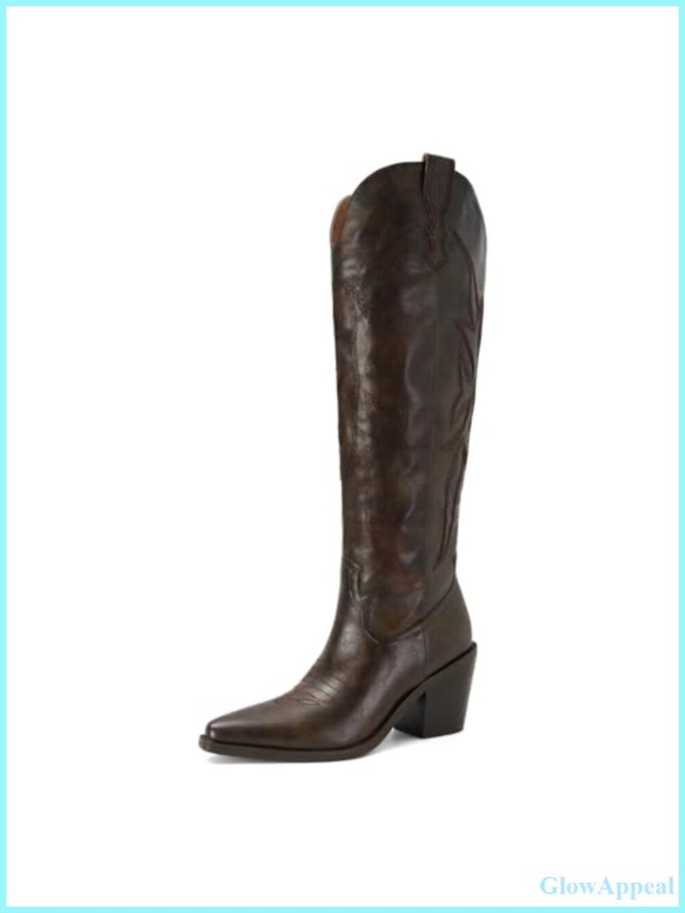 Faux Leather Cowboy Boots Pointed Toe Block Heel Knee High Pull-On